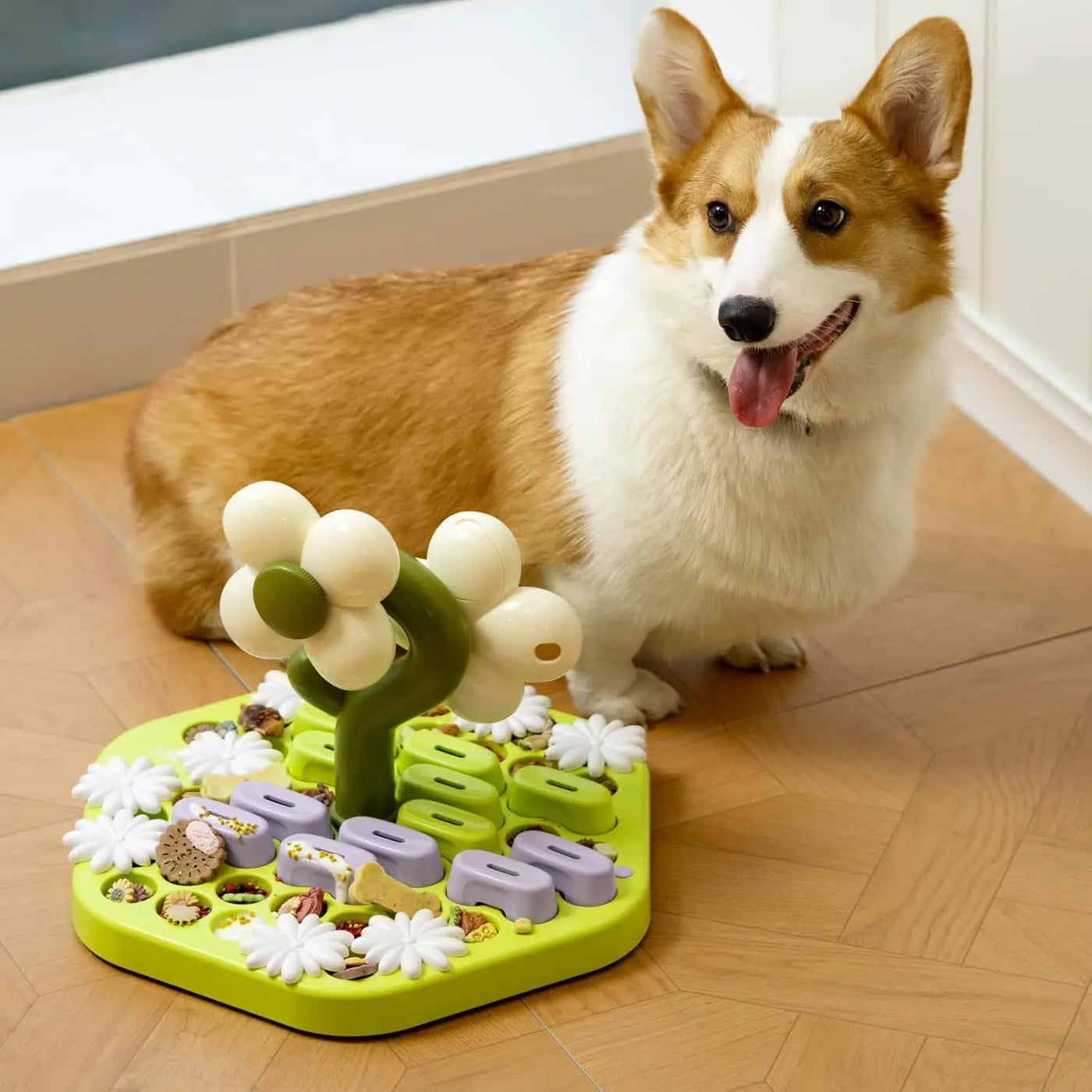 Dog Puzzle Interactive Toy