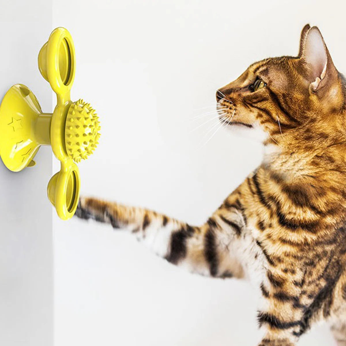 Glowing Catnip Cat Toy