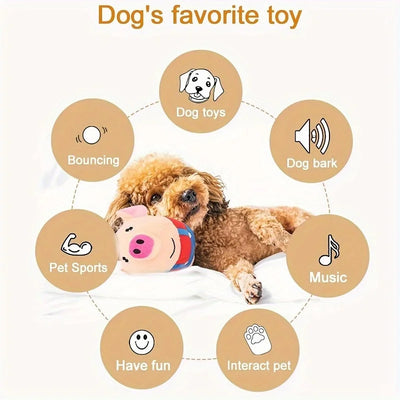 Smart Pet Toy for Active Play