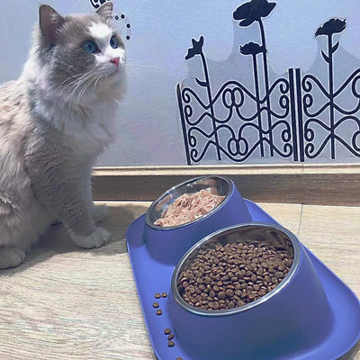 Dog Stainless Steel Double Bowl