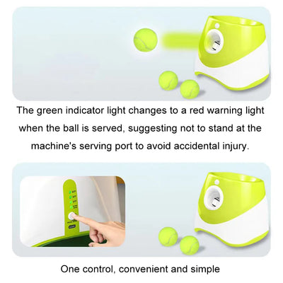 Automatic Dog Ball Launcher Toy