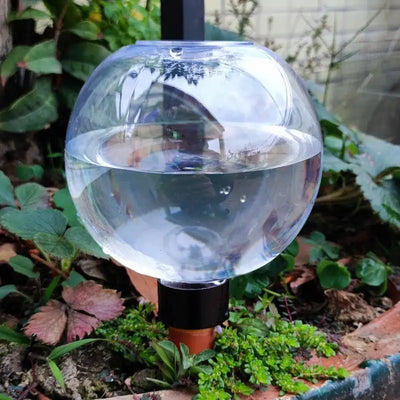 Automatic Spikes Watering Globes