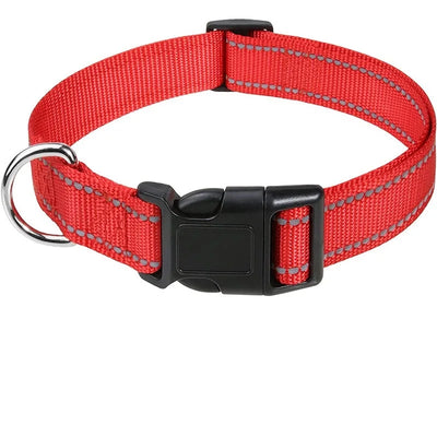 Stylish Choker Dog Collar