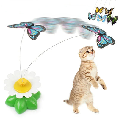 Electric Butterfly Cat Toy