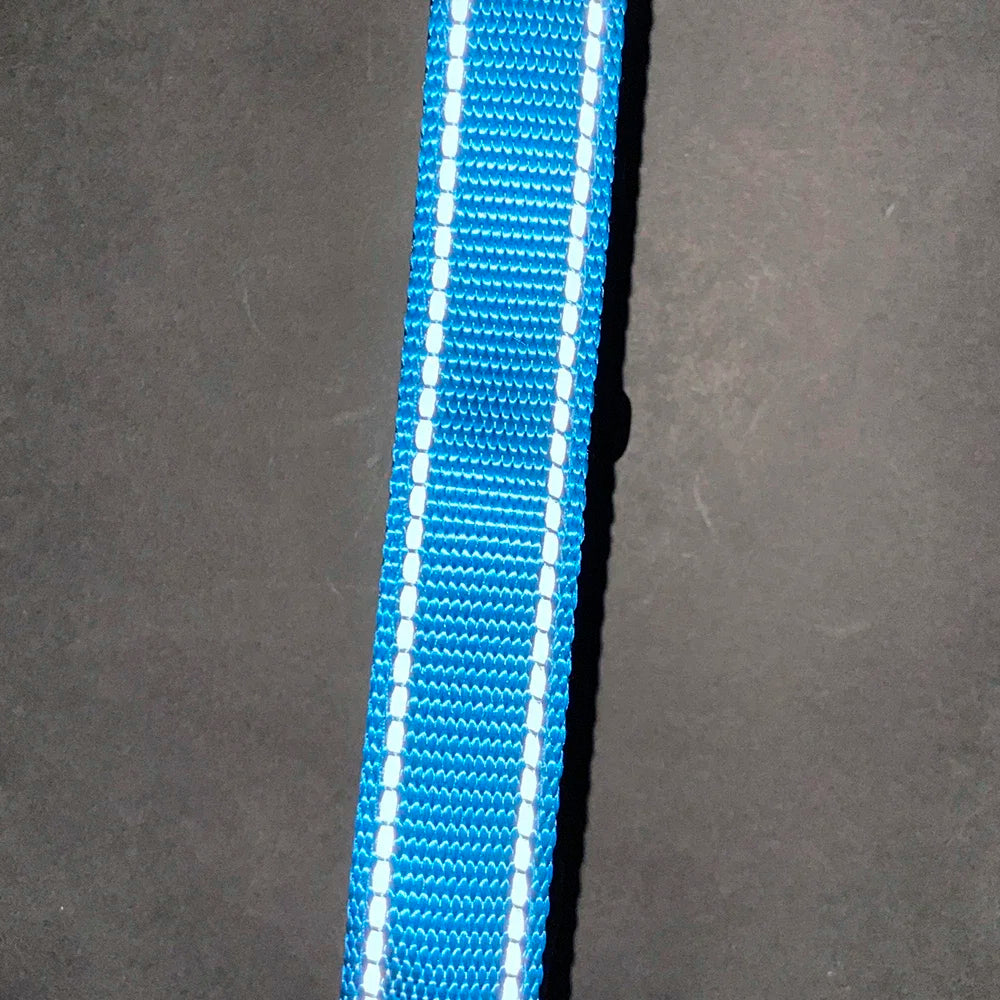 Reflective Padded Nylon Dog Collar