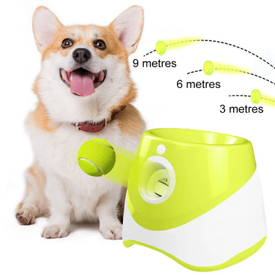 Automatic Dog Ball Launcher Toy