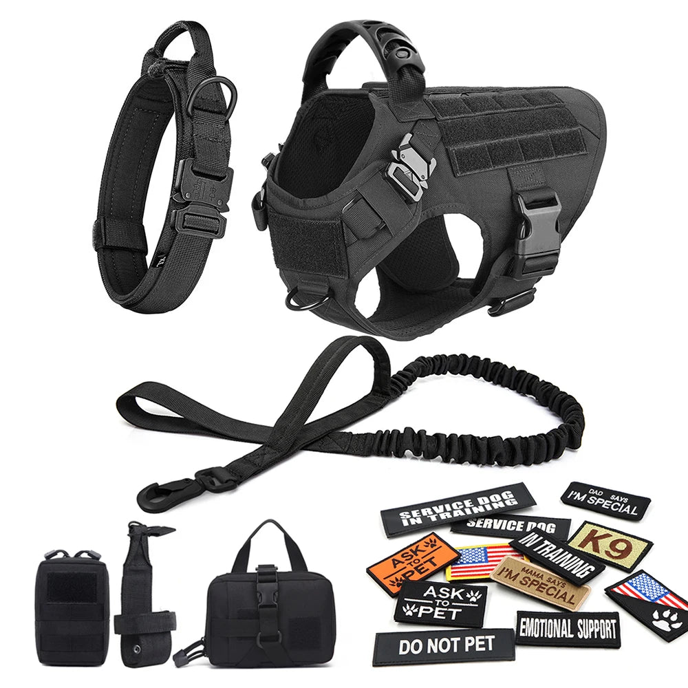 Complete Tactical Dog Gear Set