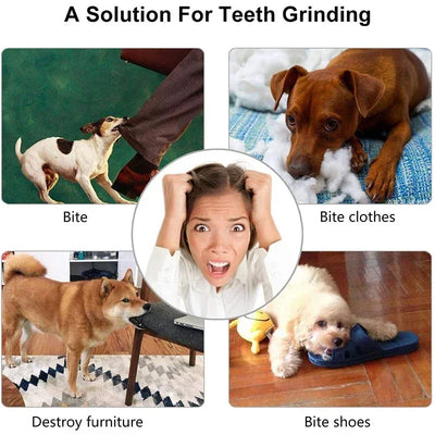 Dog Tooth Cleaning Ball Toy