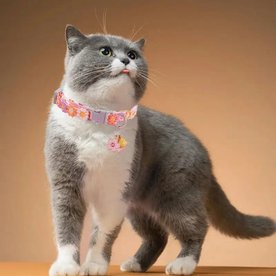 Kitten Breakaway Adjustable Collar
