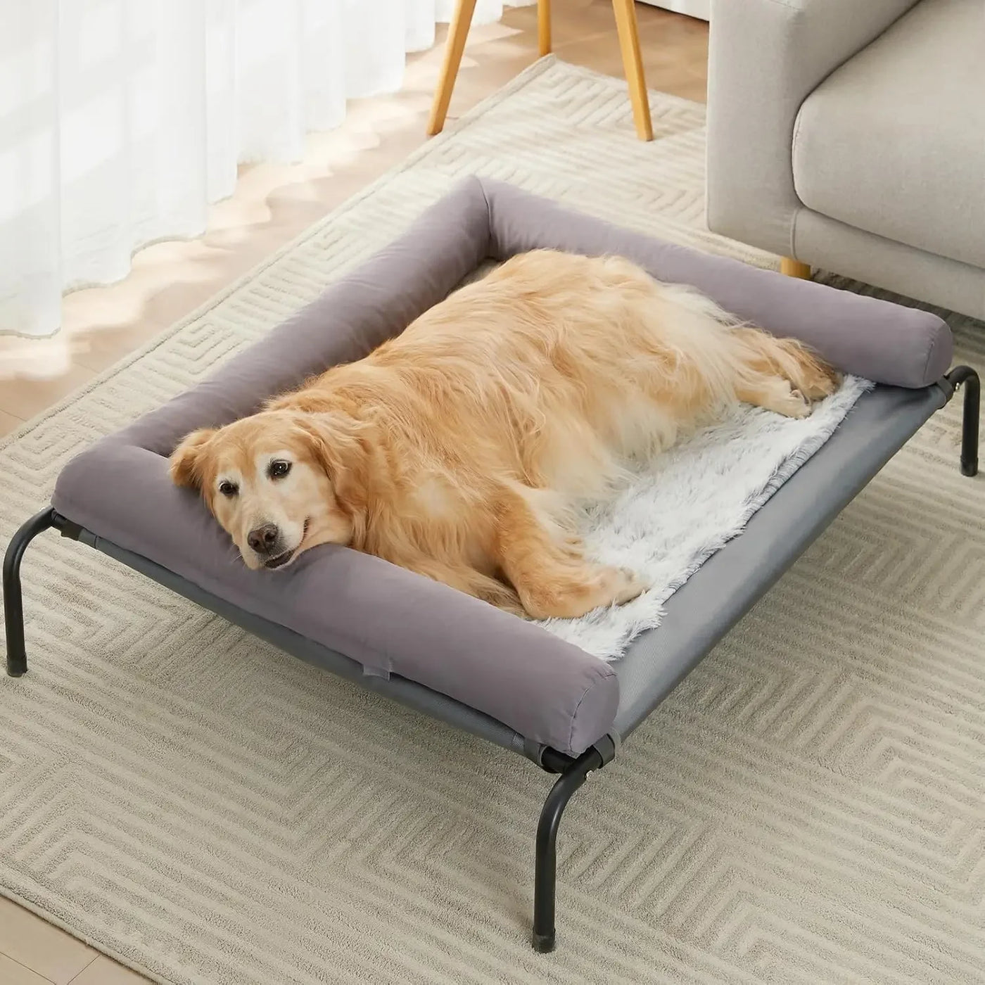 Elevated Cooling Dog Bed