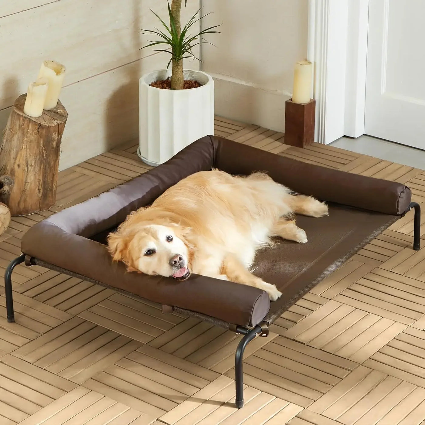 Elevated Cooling Dog Bed