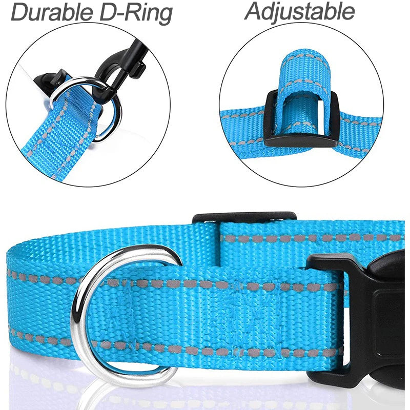 Stylish Choker Dog Collar