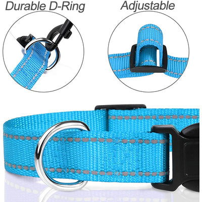 Stylish Choker Dog Collar