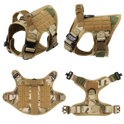 Complete Tactical Dog Gear Set