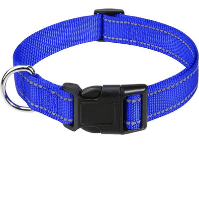 Stylish Choker Dog Collar