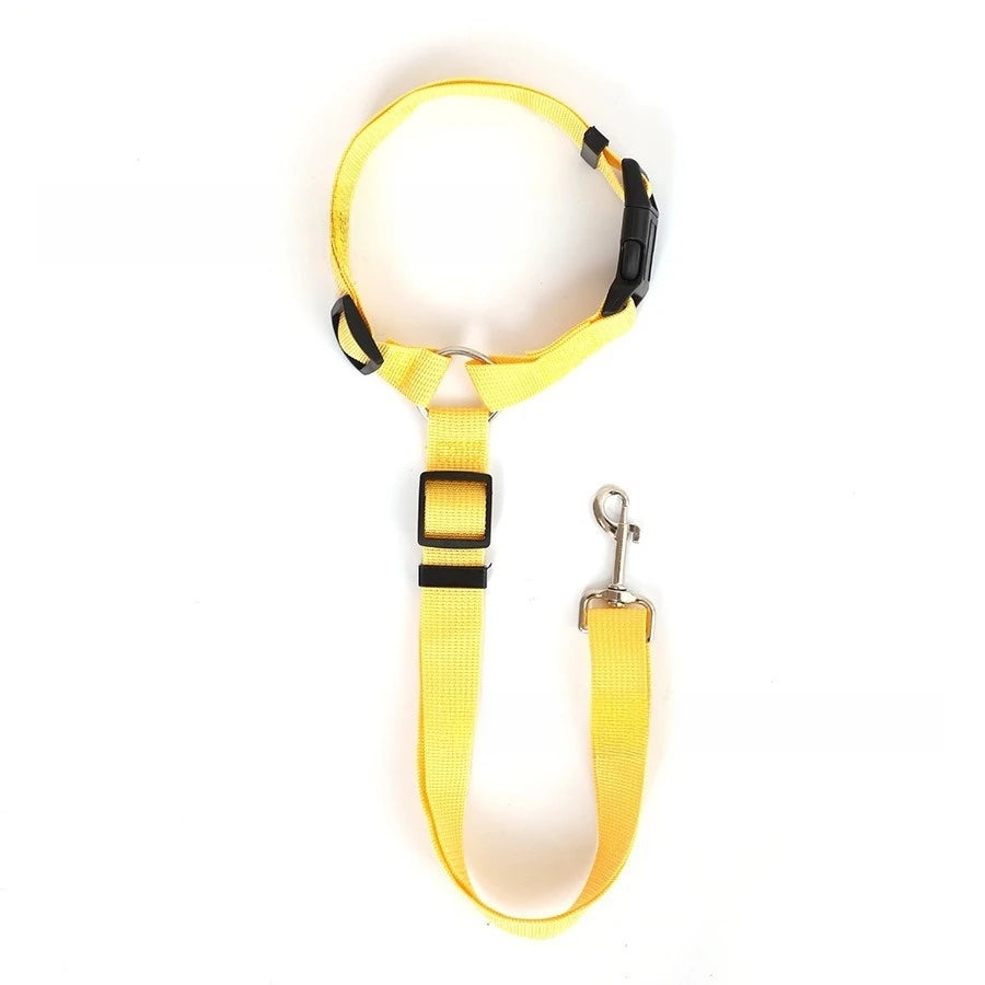 Dog Solid Color Two Nylon Lead Leash