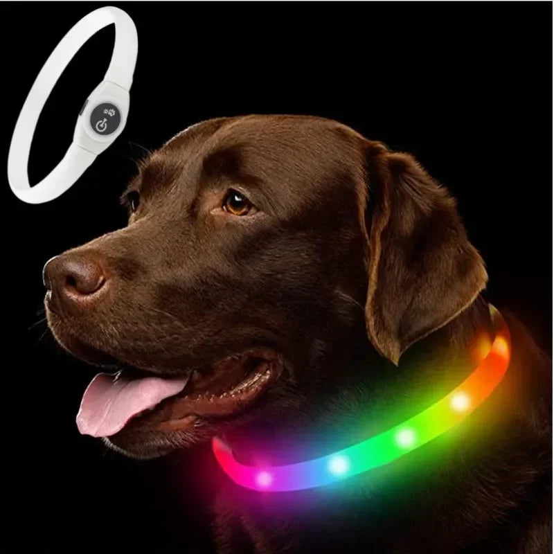 Dog USB Rechargeable Waterproof Collar