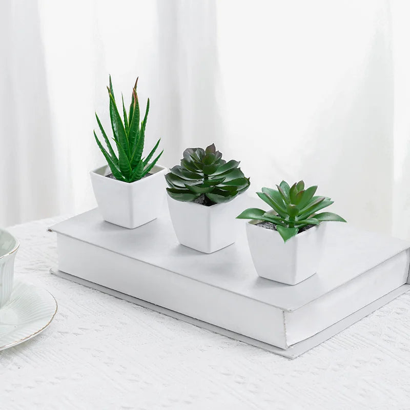 3 Pots Plant Small Potted Plant