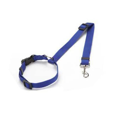 Dog Solid Color Two Nylon Lead Leash