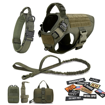 Complete Tactical Dog Gear Set