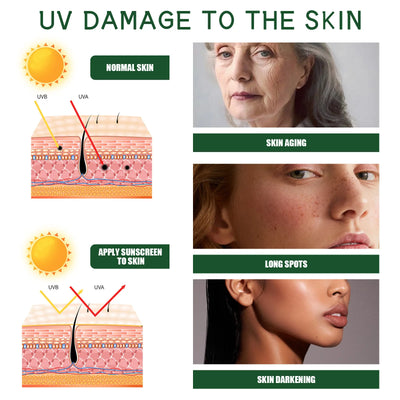 Aloe Soothing Sun Cream SPF 50+ PA+++ 50ml Sunscreen Sun Protection Uv Isolation Moisturizing non-greasy Korean Skincare