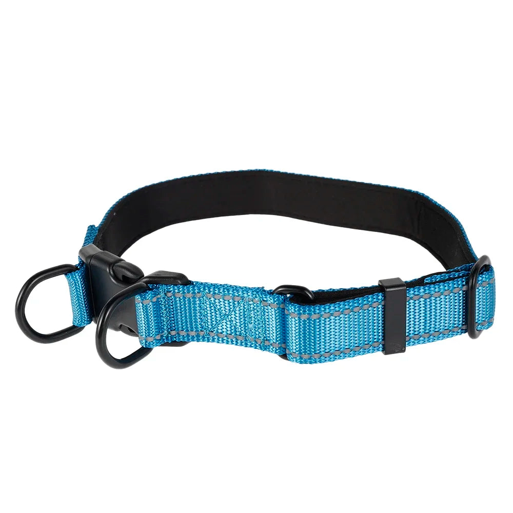 Reflective Padded Nylon Dog Collar