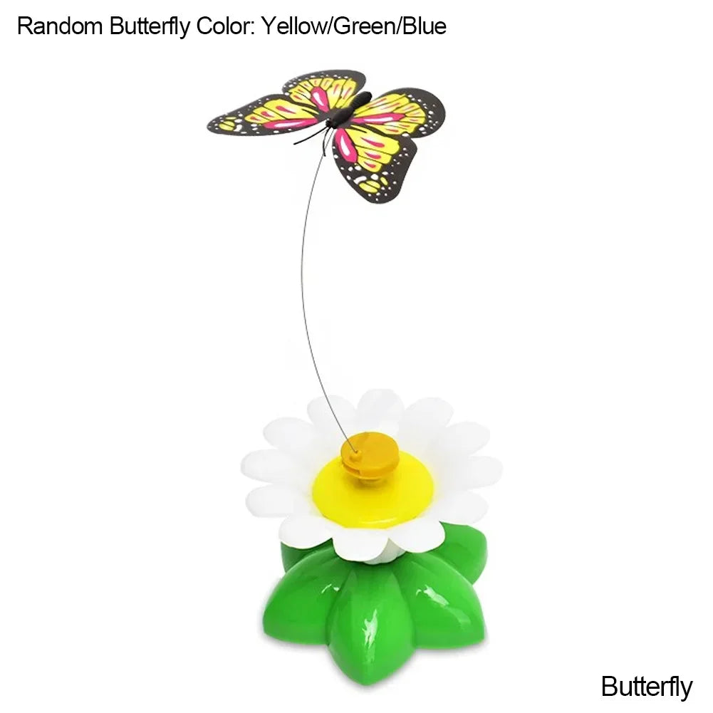 Electric Butterfly Cat Toy