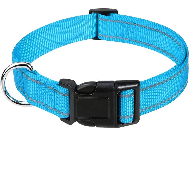 Stylish Choker Dog Collar