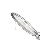 Stainless Steel Fish Scale Remover Scraper