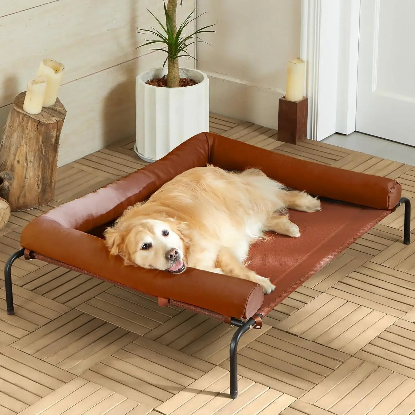 Elevated Cooling Dog Bed