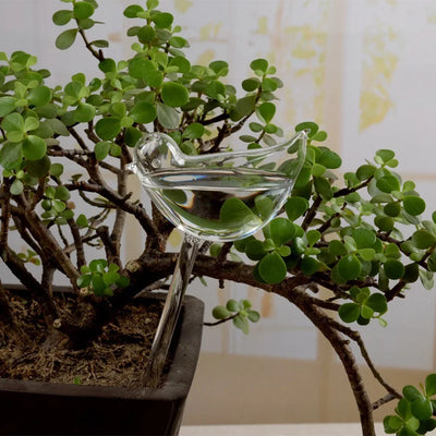 Automatic Plant Watering Bulbs