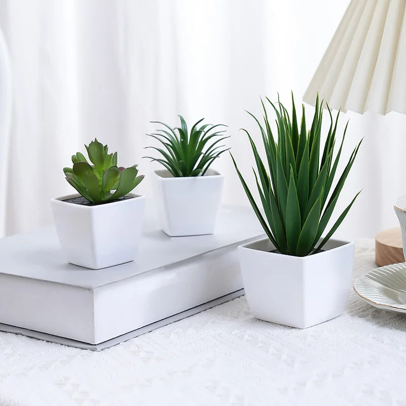 3 Pots Plant Small Potted Plant