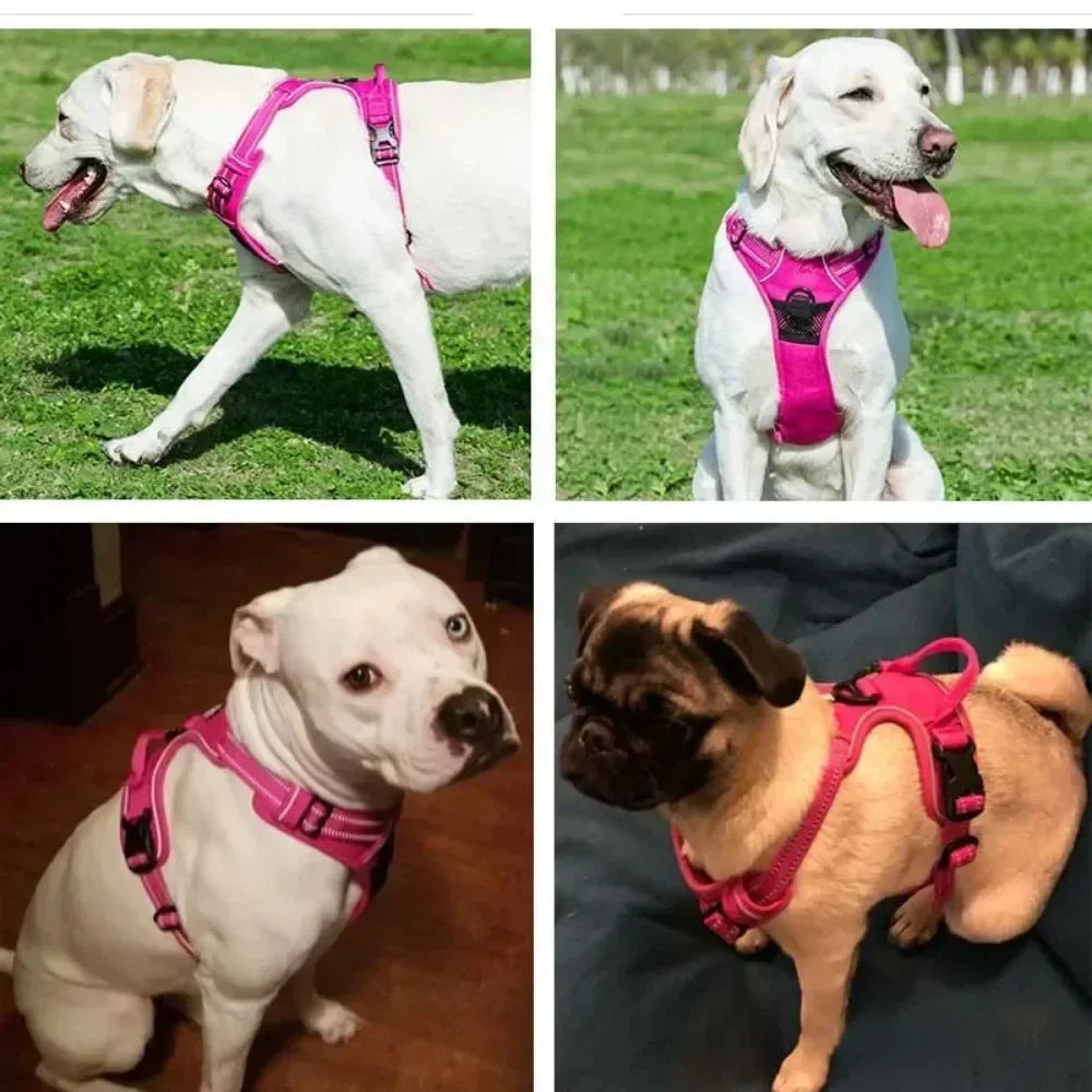 Dog Reflective Vest Chest Strap